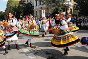 Trachten- und Schützenzug (©Foto: Ingrid Grossmann)